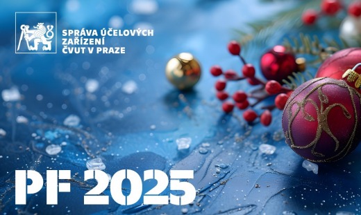 Veselé Vánoce a šťastný nový rok 2025!